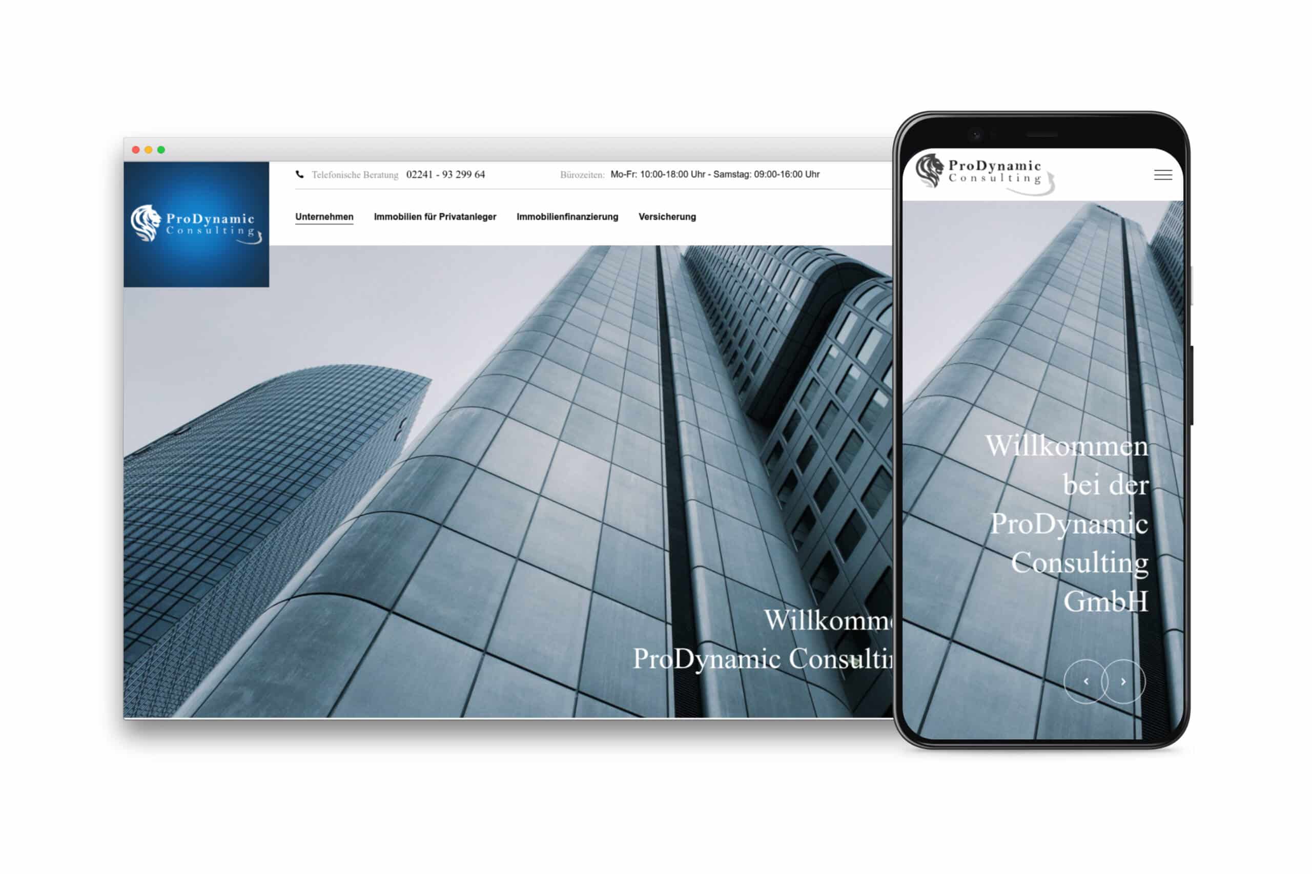 ProDynamic Consulting